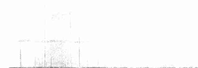 シロオビハリオアマツバメ - ML547726001
