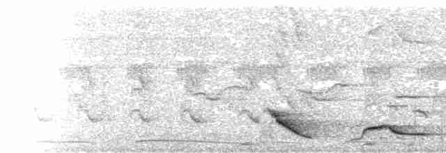  - Chestnut-backed Laughingthrush