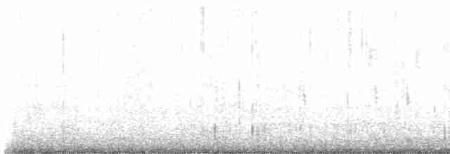 tanımsız ördek (Anatinae sp.) - ML547817041
