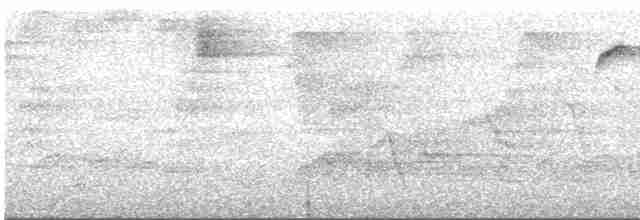 Пестрогорлый колибри-отшельник - ML547819311