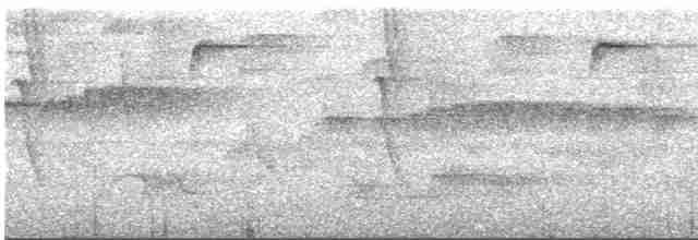 Пестрогорлый колибри-отшельник - ML547819371