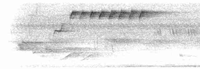  - Andaman Flowerpecker