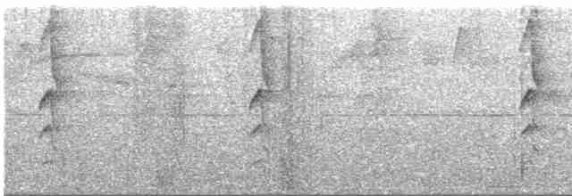 Зелёный колибри-отшельник - ML547825341