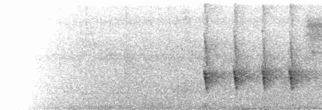  - Long-billed Spiderhunter