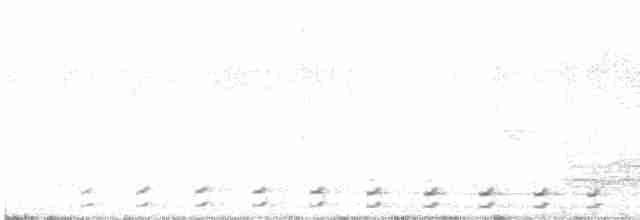 Northern Red-billed Hornbill - ML547908001