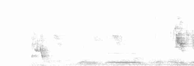 Ластівка міська (підвид urbicum/meridionale) - ML547917041