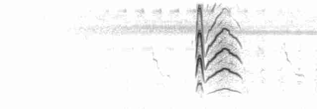  - Fulvous Whistling-Duck