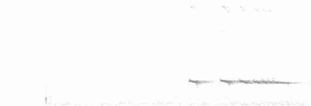 Мурашниця екваторіальна - ML547954691