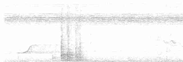 Tinamou à grands sourcils - ML547962341