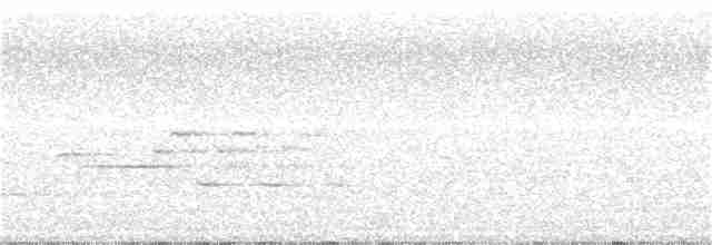 Дрозд-отшельник - ML54804891