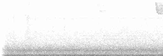 斑文鳥 - ML548142621