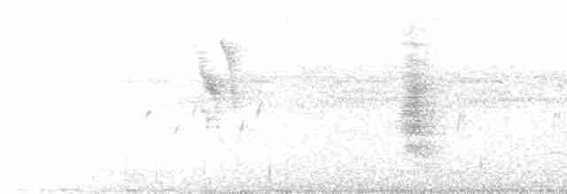 snovač černohlavý - ML548161741