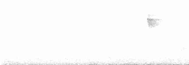 Тиранчик-довгохвіст жовточеревий - ML548202451