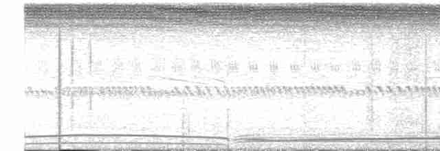 Wedge-tailed Shearwater - ML548241041