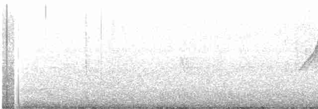 Ornate Sunbird - ML548266671