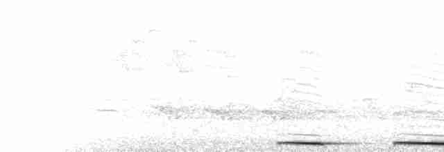  - Greater Roadrunner