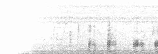  - Gray-headed Swamphen