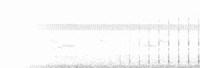  - Limpkin (Speckled)