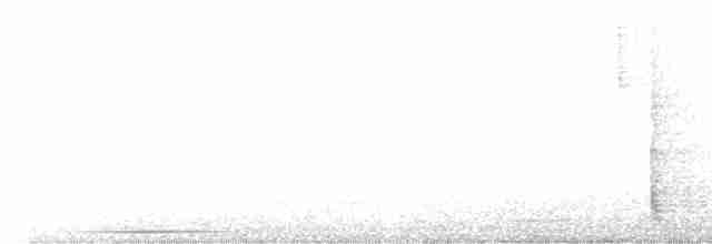 holub bledoprsý - ML548413251