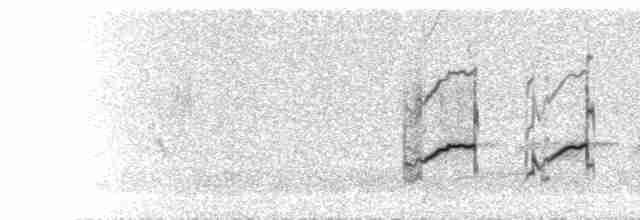  - Pacific Golden-Plover