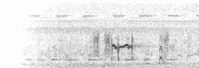  - Semipalmated Plover