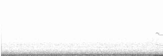 kulík rezavoocasý - ML548446201