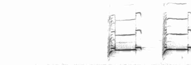  - Long-billed Curlew