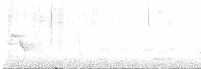 Сероголовый виреон - ML548488381
