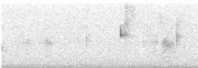 Beyaz Gerdanlı Dalkoşarı - ML548554551