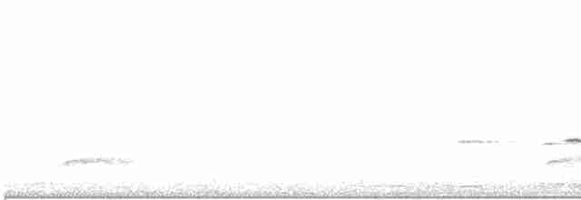 Gray Whistler (Brown) - ML548596491