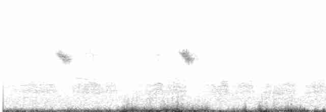 White Wagtail (Chinese) - ML548608821