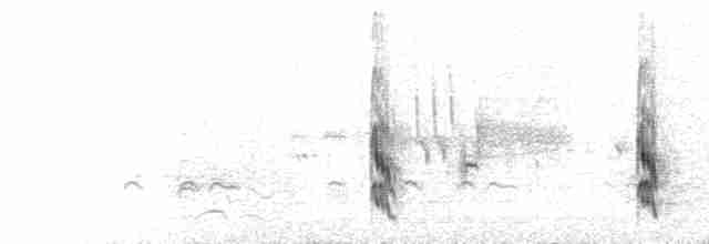  - Semipalmated Sandpiper