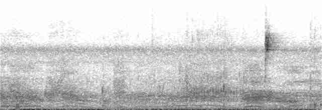 Snowy Egret - ML54865491