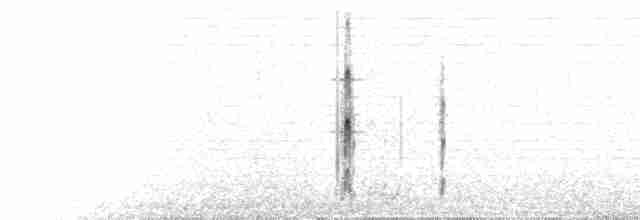  - Red-necked Phalarope