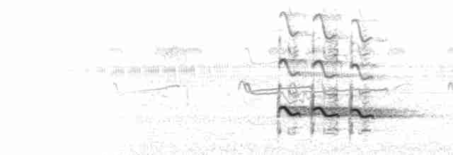  - Greater Yellowlegs