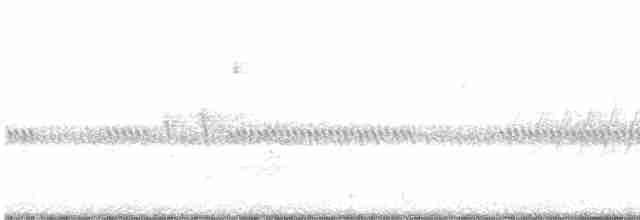 Common Yellowthroat - ML548738711