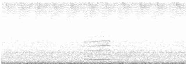 Какатоїс буроголовий - ML548746611