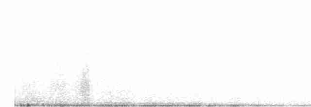 Ґоріон каліфорнійський (підвид clementeae) - ML548808581