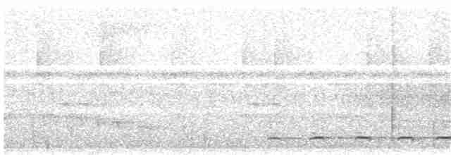 Short-tailed Antthrush - ML54882001