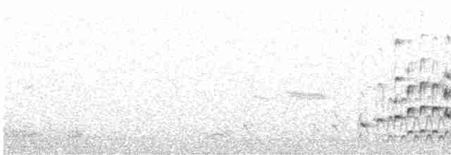 Little Grebe - ML548938151