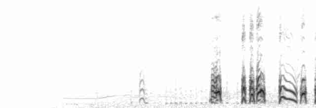  - Leach's Storm-Petrel (Leach's)