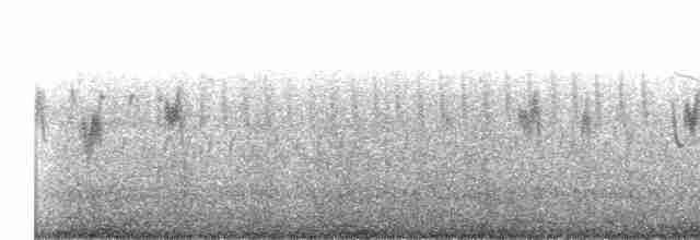 Tree Swallow - ML548971271