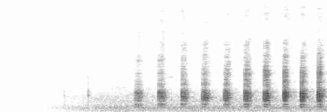  - Northern Fulmar (Atlantic)