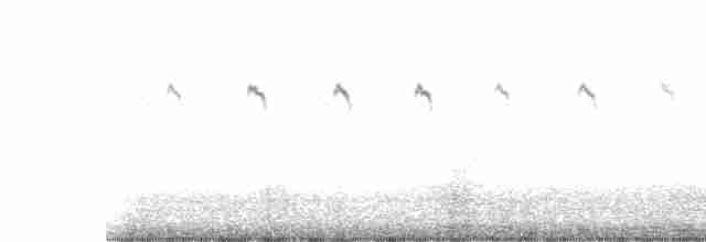 Common Kingfisher - ML548983721