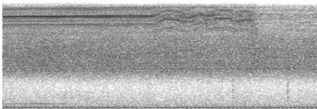 Lacivert Kuyruklu Trogon - ML549011631