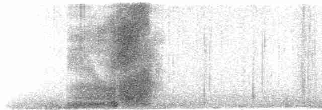  - Turkey Vulture (Northern)