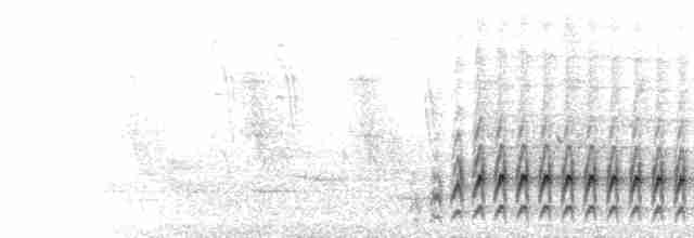  - Hook-billed Kite (Hook-billed)