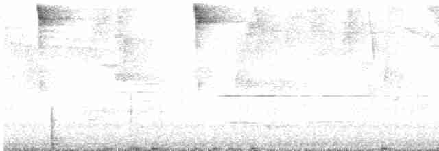 Серогрудый дромник - ML549089991