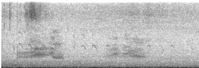 Sterne caspienne - ML549201041