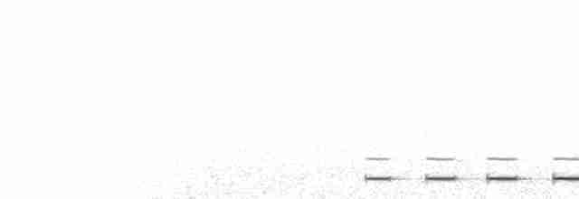  - Northern Saw-whet Owl